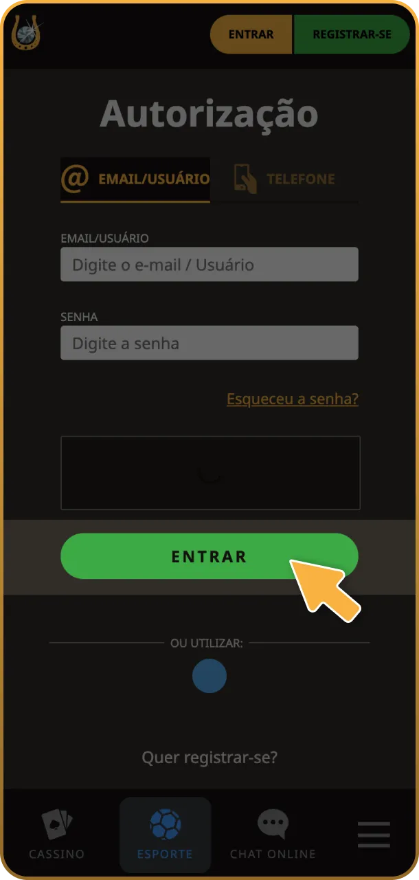 Insira seu e-mail e senha cadastrados no site Play Fortuna.